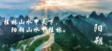 盐和避难所